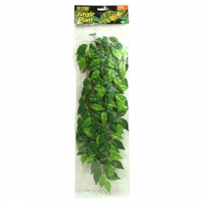 Plante Ficus pour terrarium Exo Terra 70 cm