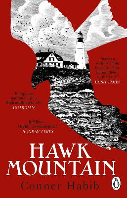 Hawk Mountain: A highly suspenseful and unsettling literary thriller (Paperback)
