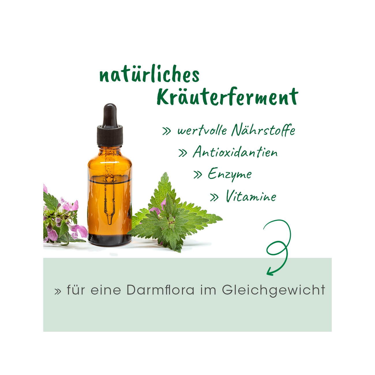 cdVet DarmAktiv Hund & Katze 100 ml