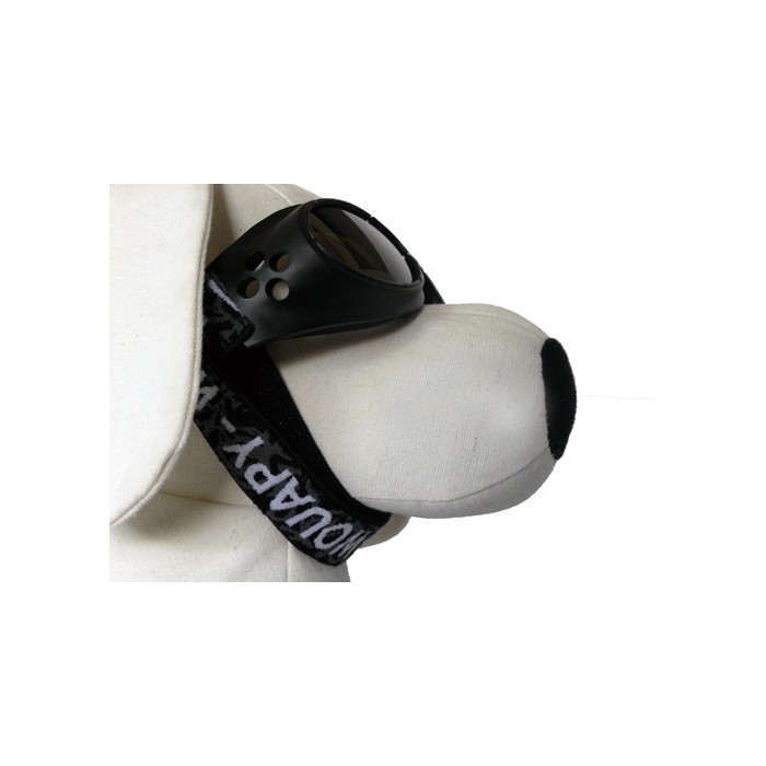 Lunettes de soleil pour chien