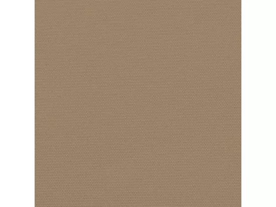 Auvent latéral rétractable taupe 100x1000 cm