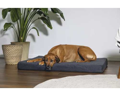 Beeztees Orthopedisch Hondenkussen Zira 100 x 70 cm Donkergrijs