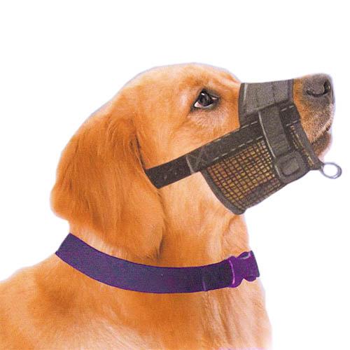 Focinheira Easy Walk Guide, tamanho especial