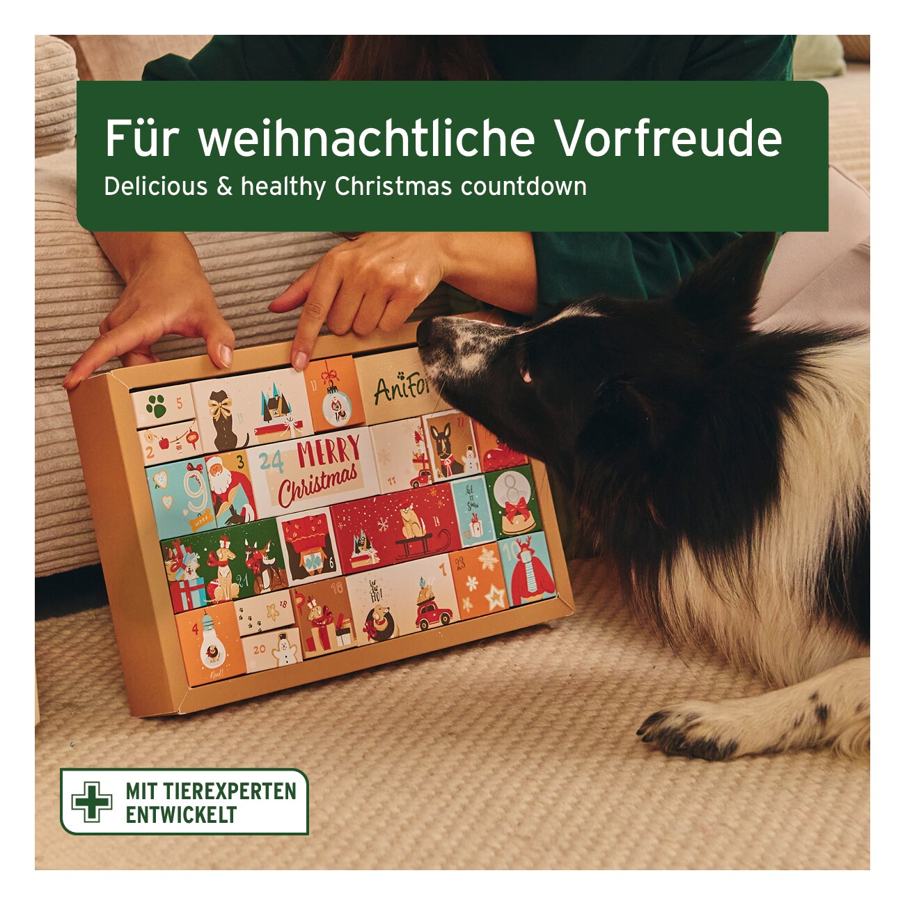 AniForte Premium Adventskalender für Hunde 2025