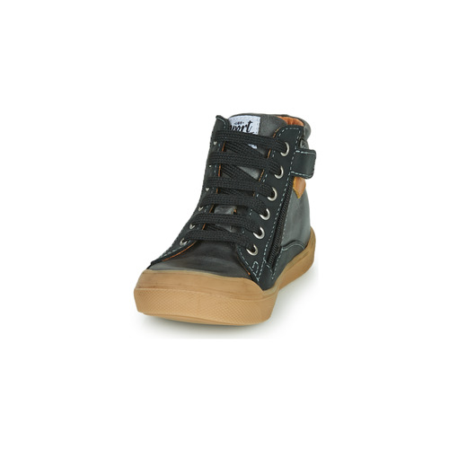 GBB - ARNOLD - Gris