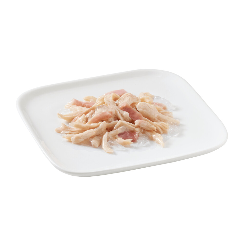 10x Schesir Hondenvoer Kipfilet en Rundvlees in Gelei150 gr