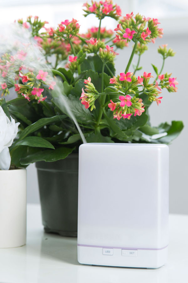 Diffuseur™ Aroma Lite