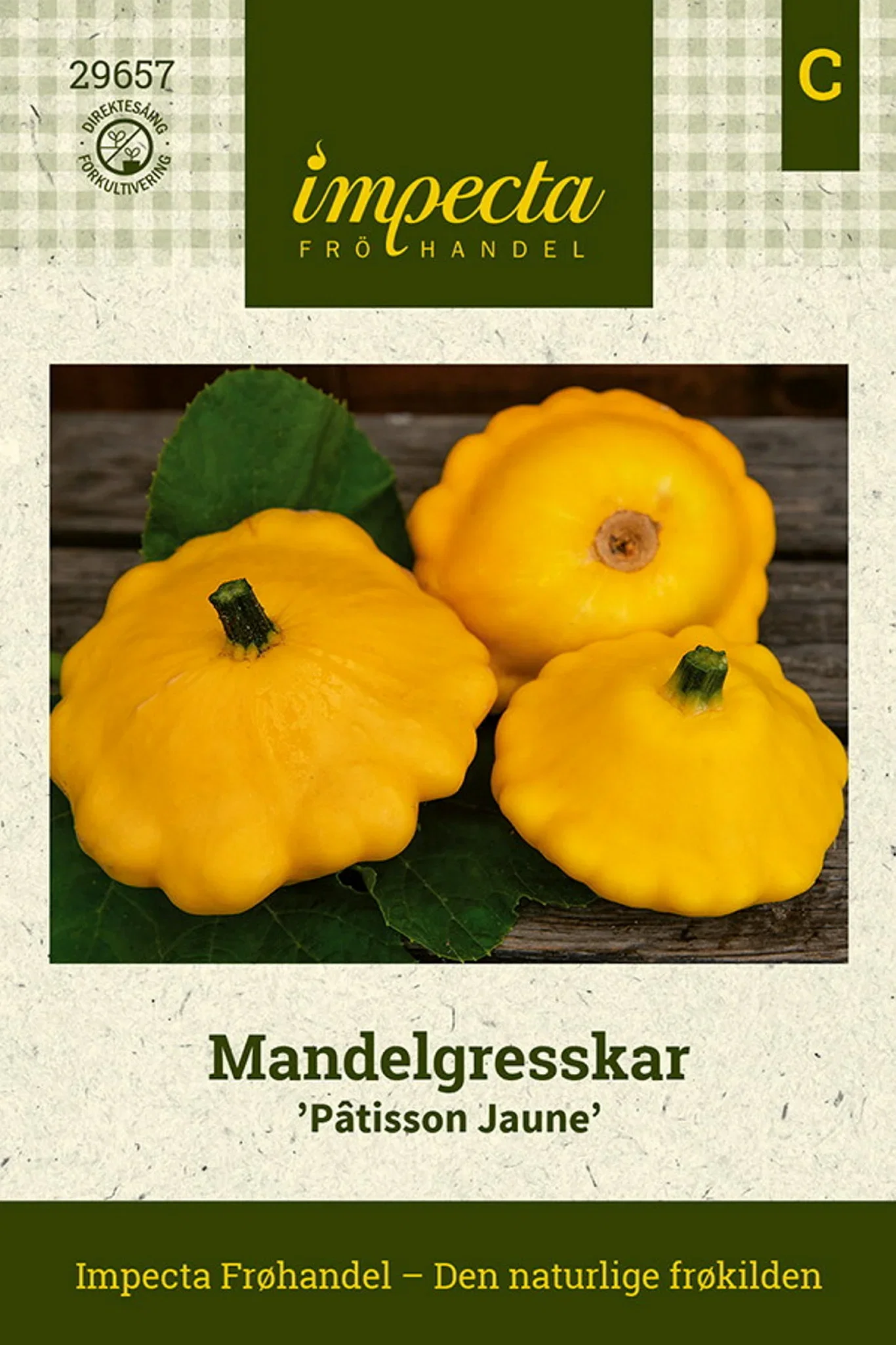 Cucurbita pepo 'Pâtisson Jaune' Mandelgresskar 'Pâtisson Jaune'