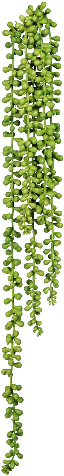 Creativ green Kunstranke »Sedumhänger« 3er Set