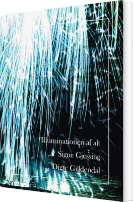 Illuminationen Af Alt - Signe Gjessing - Bog