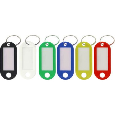 Porte-clé avec anneau, pack de 100