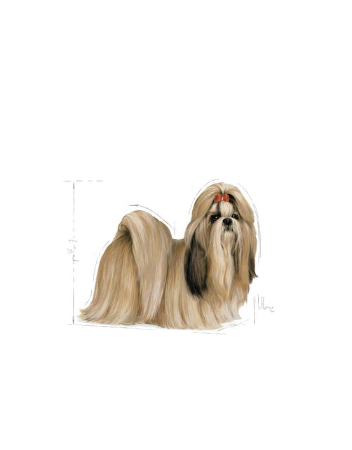 Royal Canin Shih Tzu Adult Natvoer - Hondenvoer - 85 g