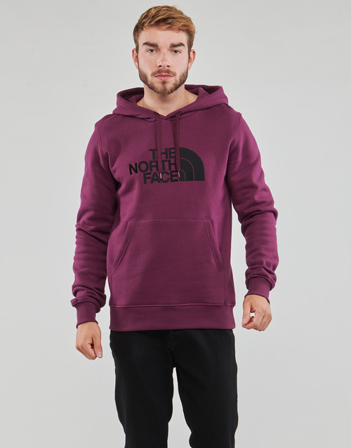 The North Face - DREW PEAK PULLOVER HOODIE - Violet