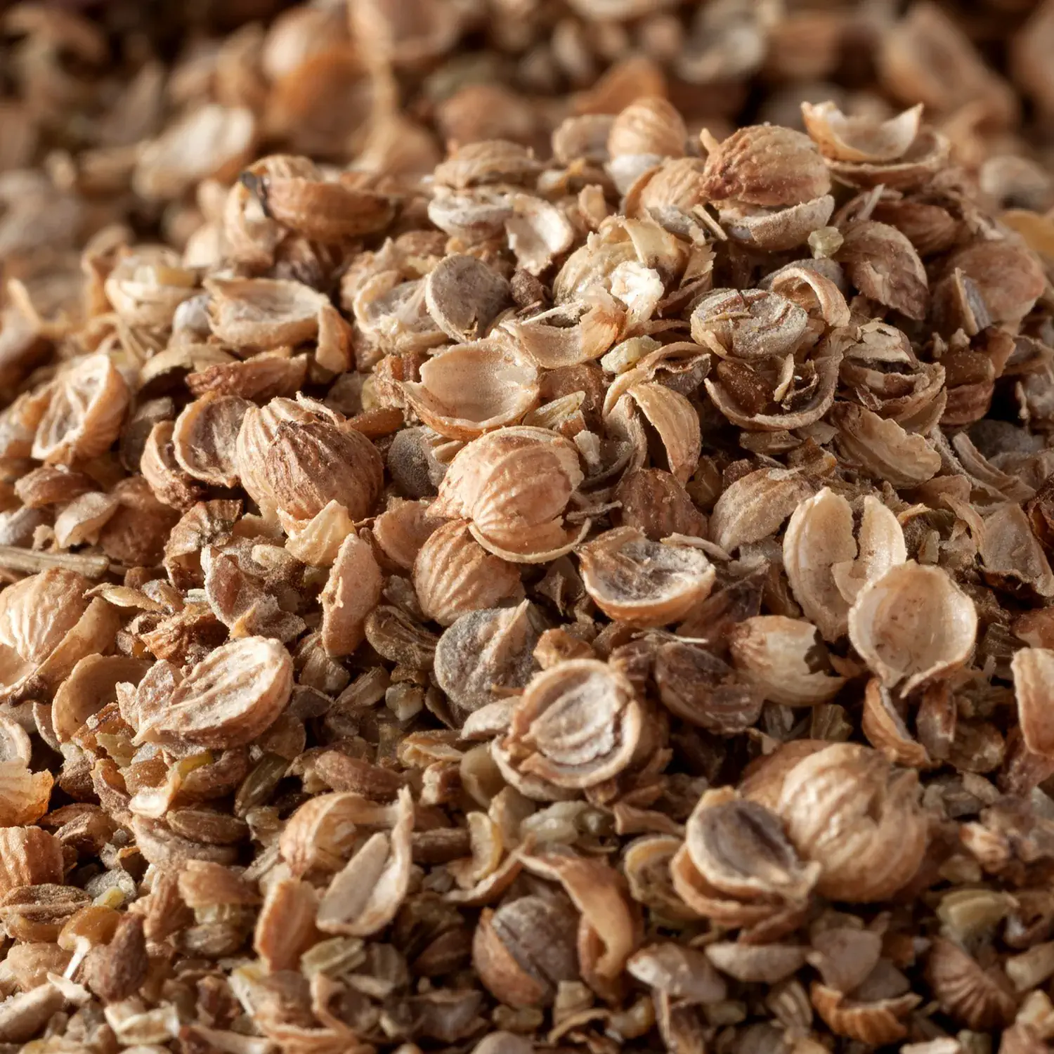 Brotgewürz Rustikal, grob, im Glas