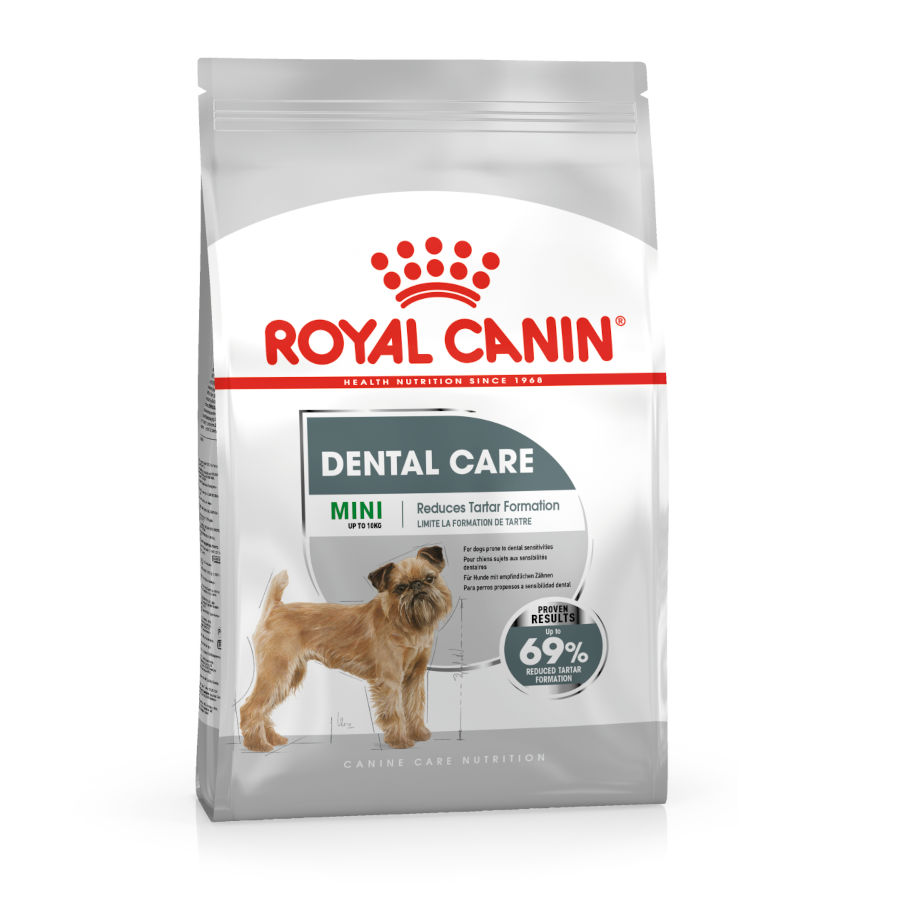 Ração Royal Canin Dental Care Mini para cães