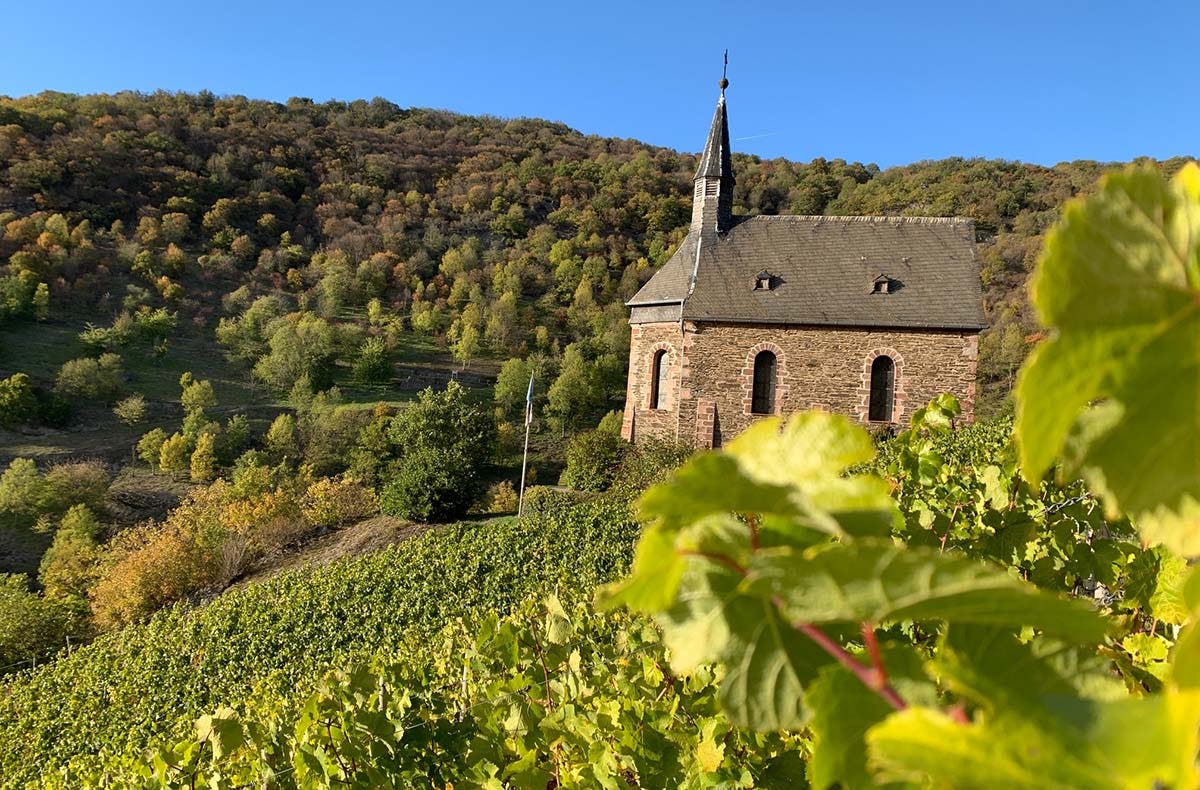 Weinbergwanderung Lorch - Genuss verschenken