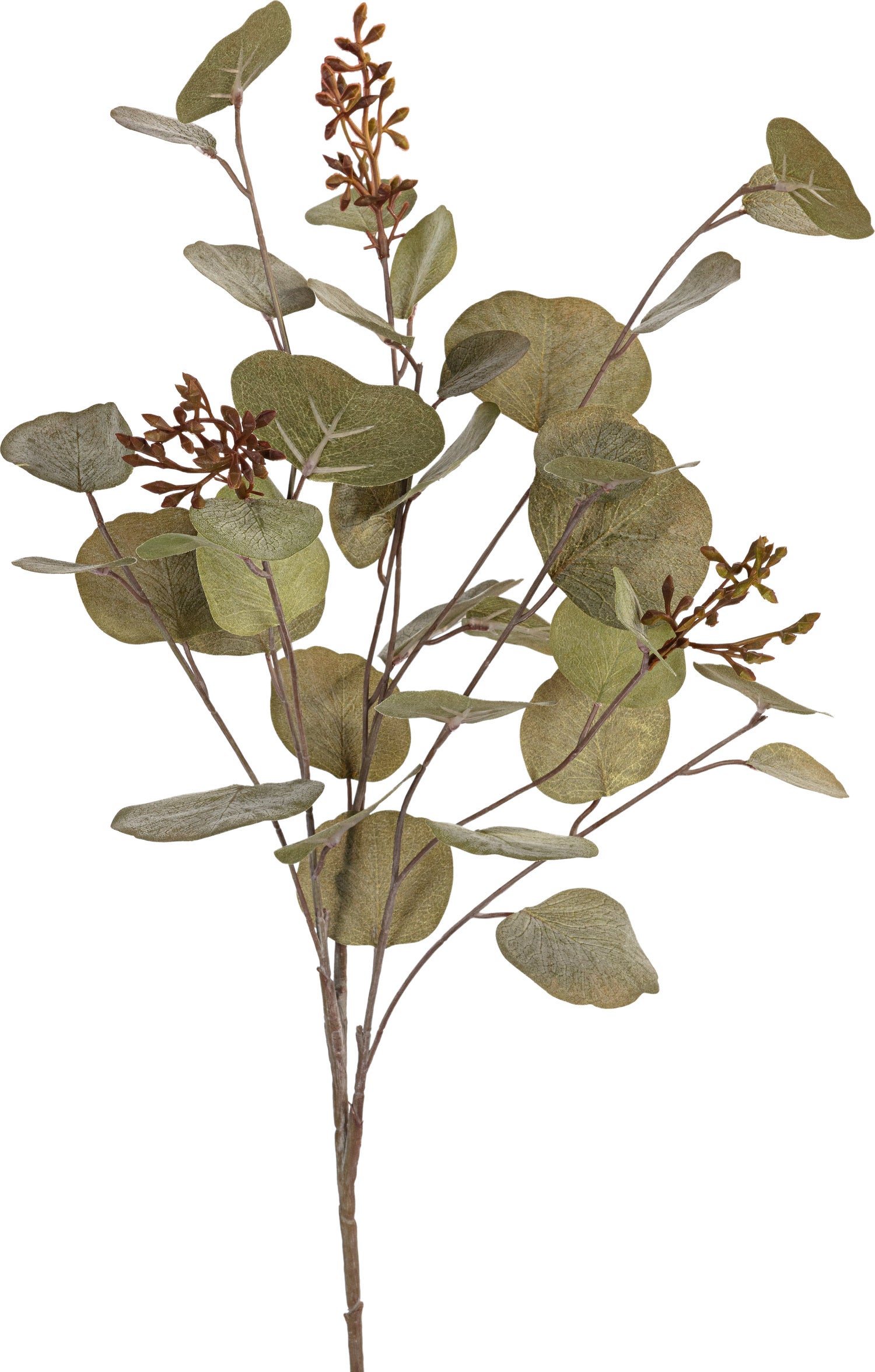 Louis Maes kunsttak Eucalyptus met bessen groen 80 cm