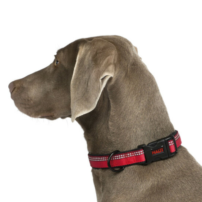 Collier Halti pour chien