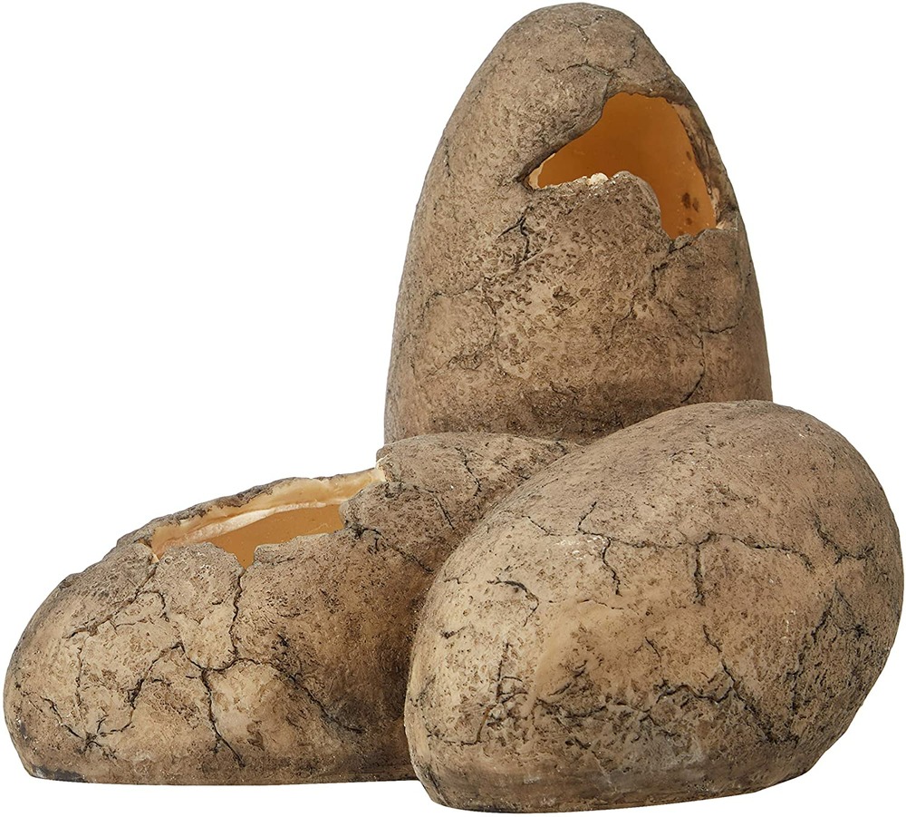 Exoterra cachette oeuf pour reptile moyen