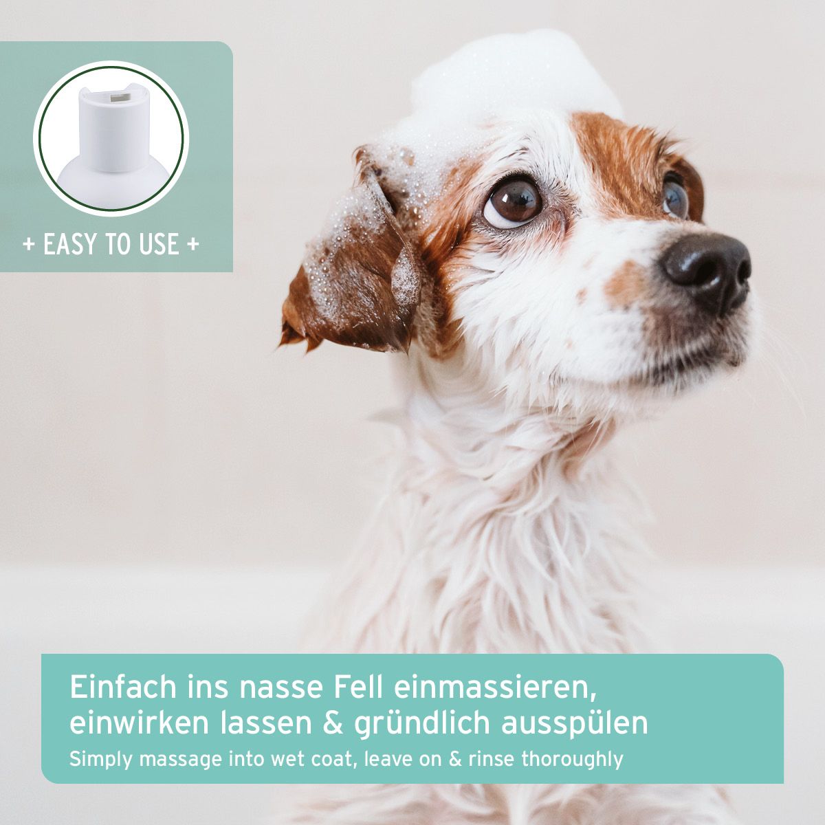 AniForte Aloe Vera Welpen Shampoo