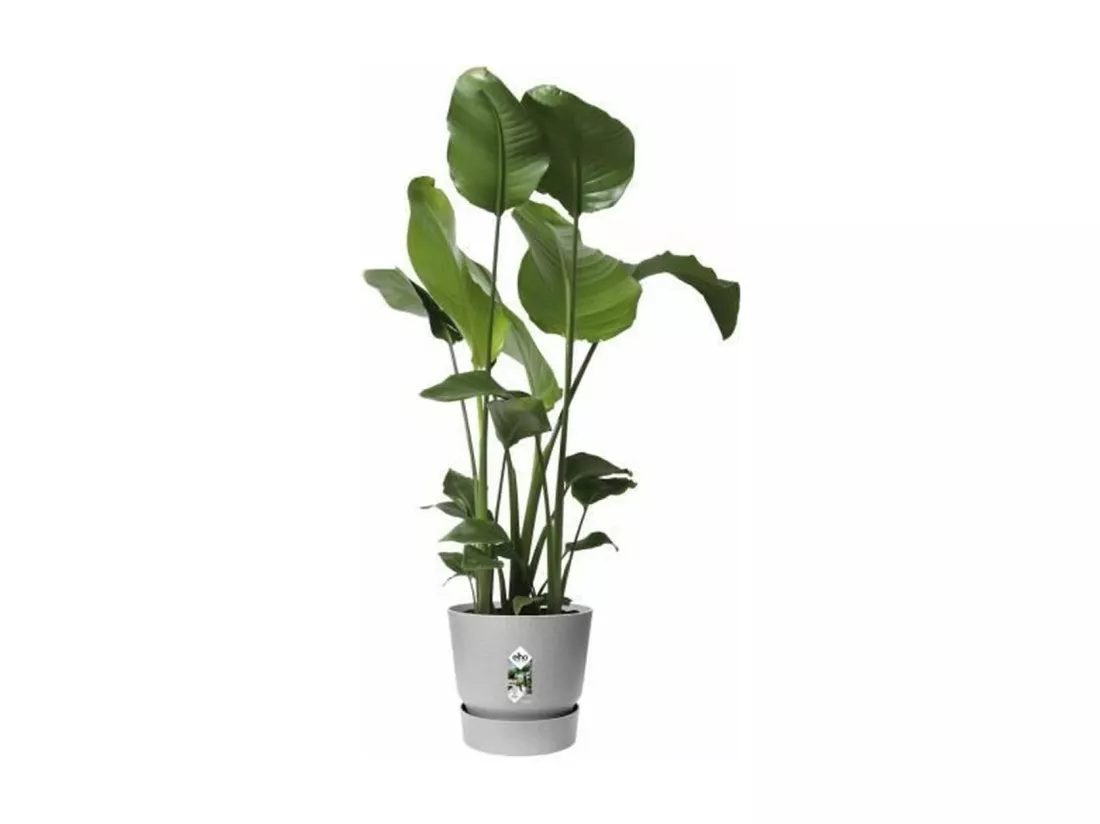 Pot de fleurs rond 25 - Extérieur Ø 24,5 x 23 cm - Gris béton vivant