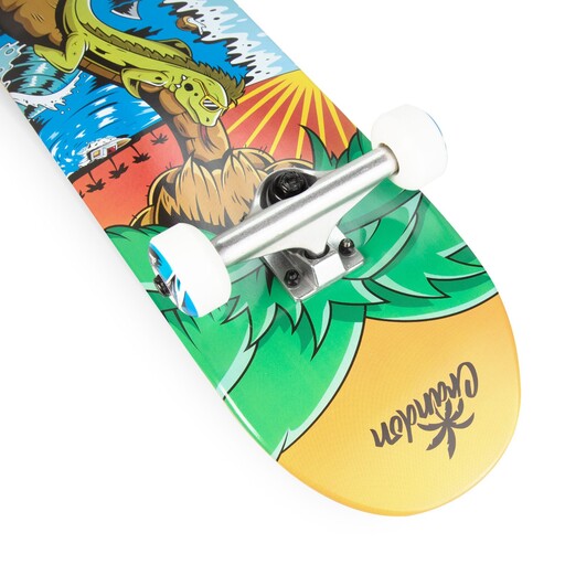 Skate completo Crandon Skc825palm
