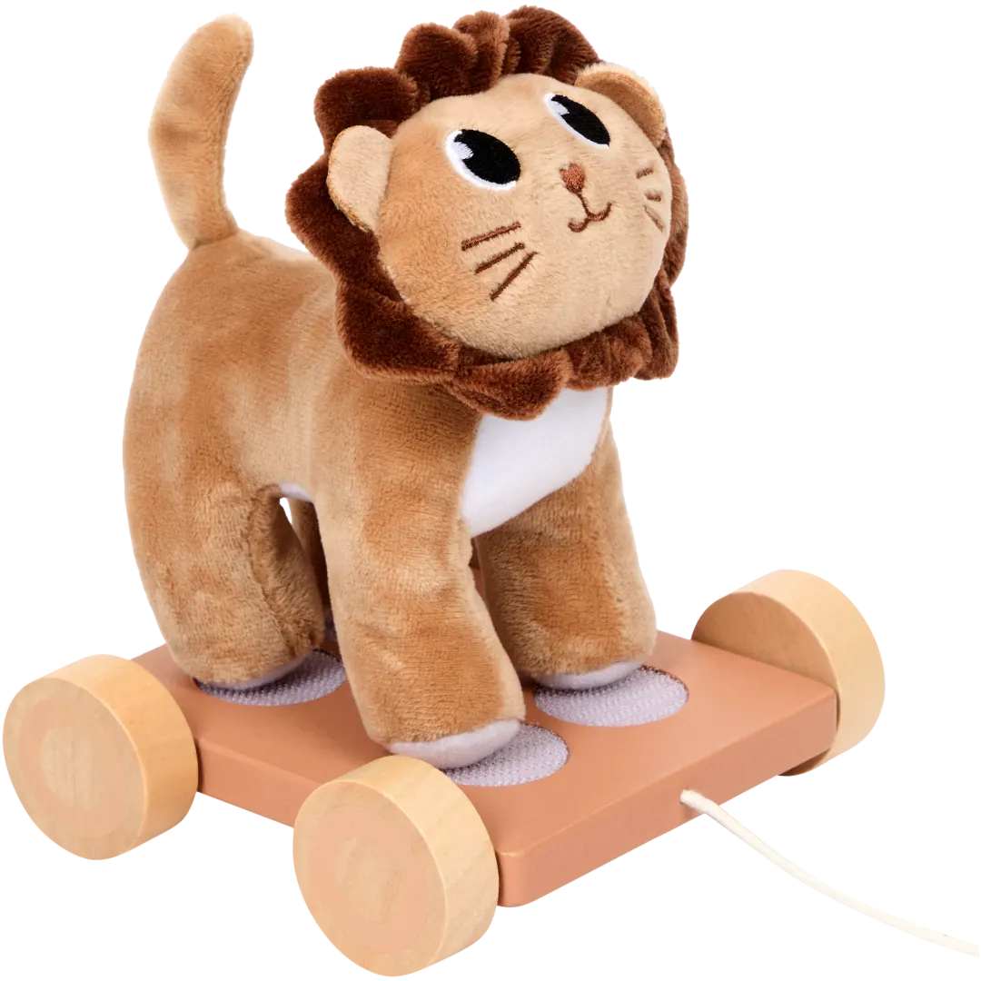Peluche à tracter Mini Matters