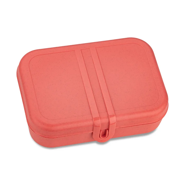 Koziol - Pascal L Lunchbox mit Trennsteg, nature coral