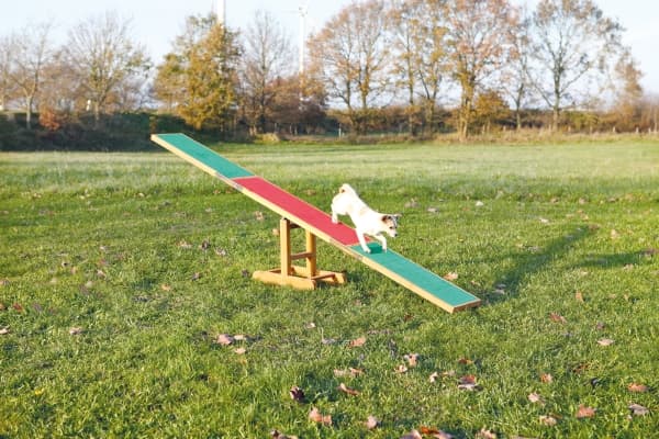 Trixie Agility rocker