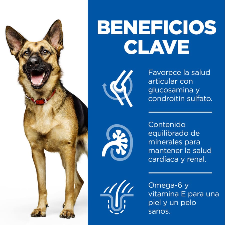 Ração Hill's Science Plan para cães adultos de porte grande com sabor de frango
