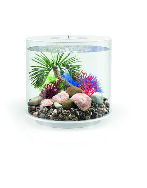Biorb Aquarium Tube 15 Mcr - Aquaria - 15 l Wit