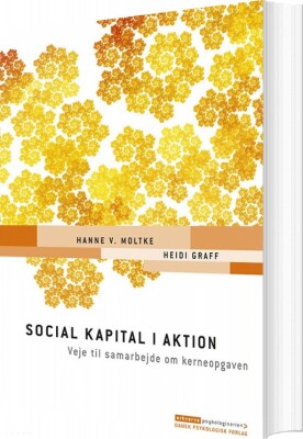 Social Kapital I Aktion - Hanne V. Moltke - Bog