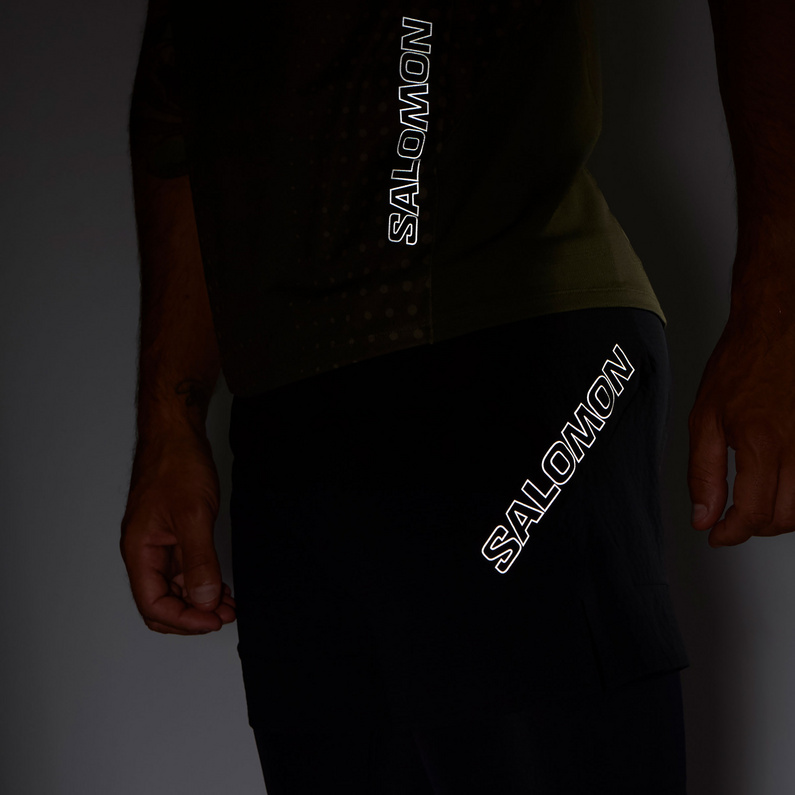 Salomon Herren Sense 2in1 Shorts