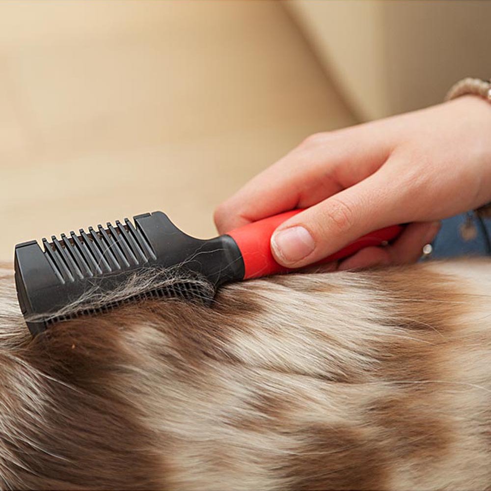 Ferplast peigne double avec rasoir pour chiens gro 5991, 18,3 x 4,5 x h 1,8 cm
