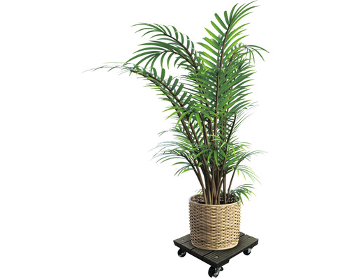 Lafiora WPC plantenkar 30x30x7,5 cm vierkant bruin TK 100 kg