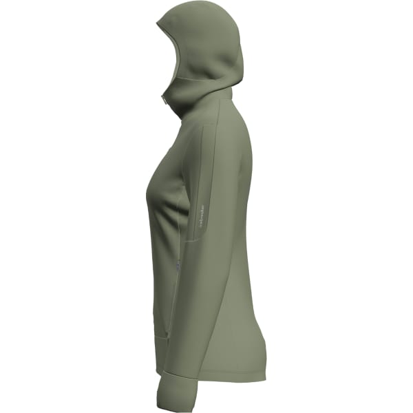 Veste polaire randonnée ICEBREAKER W M 260 QUANTUM IV LS ZIP H LICHEN