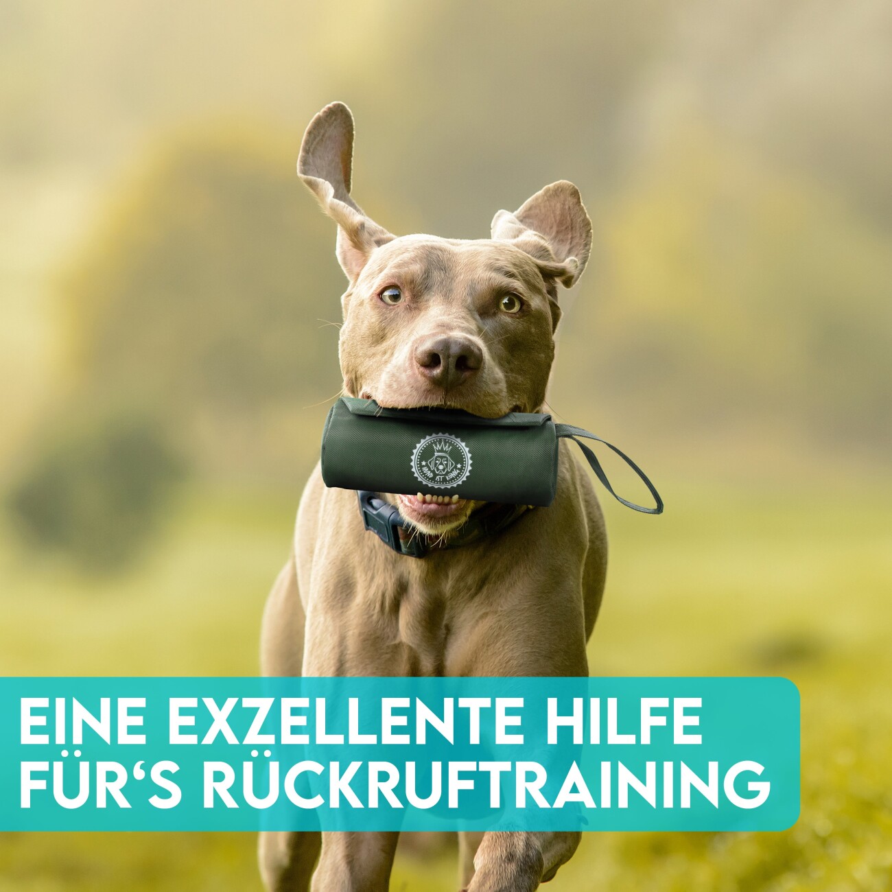 HUND IST KÖNIG ® Futterbeutel Hund | Futterdummy Hunde | Apportierbeutel für Hunde mit Handschlaufe dunkles olivgrün
