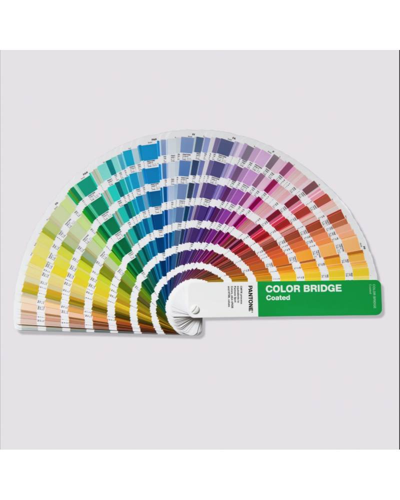 Guide Color Bridge | Coated