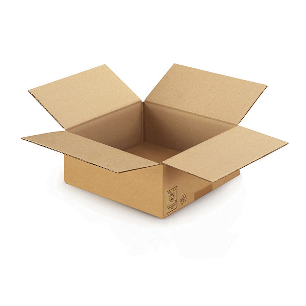 Caisse carton brune simple cannelure RAJA 25x25x10 cm, lot de 25