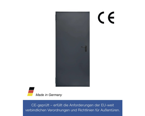 Hörmann multifunctionele kelderdeur T30 H8-5 RAL 7016 antracietgrijs 875x2000 mm omkeerbaar links/rechts
