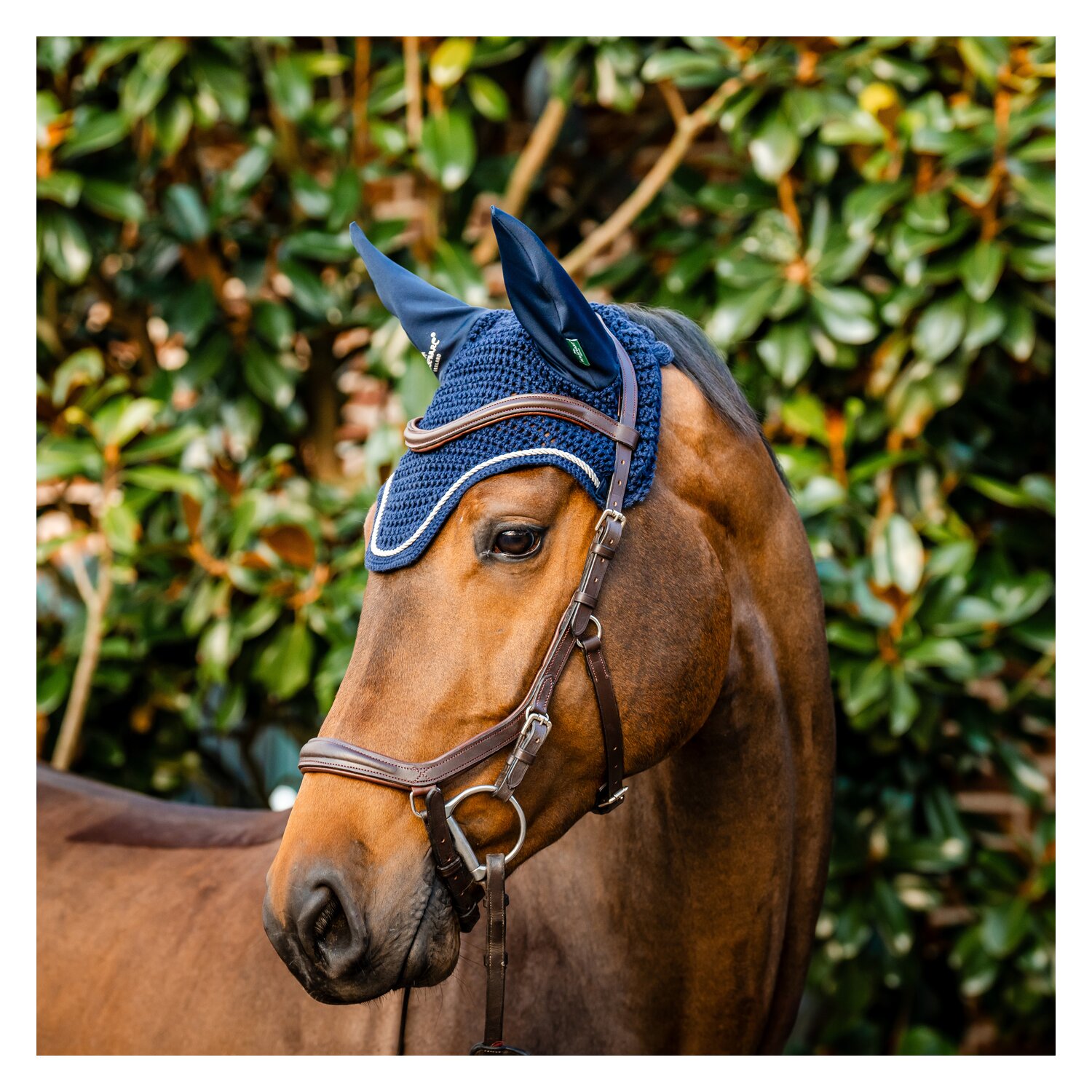 HORSEWARE Signature Fliegenohren  - navy - VB/WB