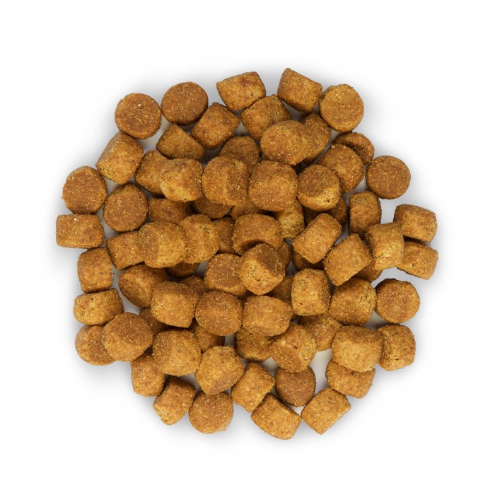 HILL'S Science Plan Large Puppy au Poulet - Croquettes pour chiot