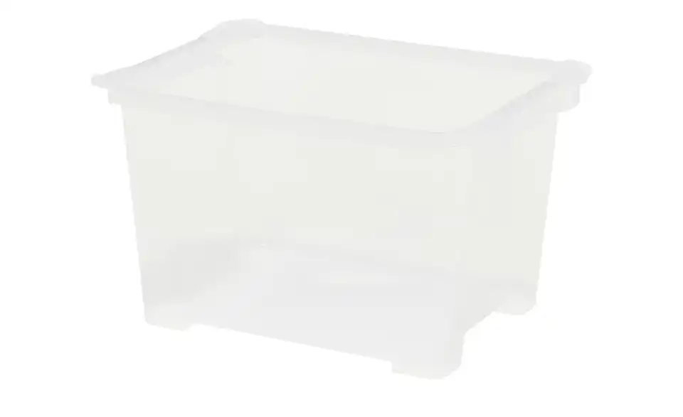 Rotho Aufbewahrungsbox 22,8 cm