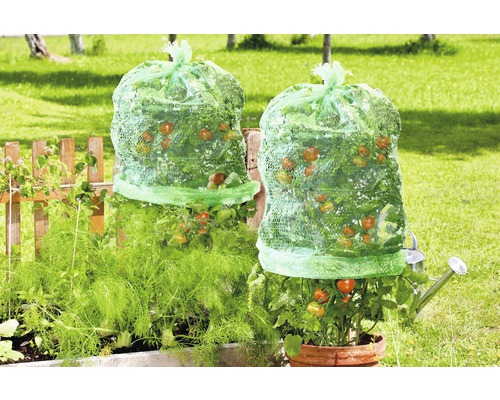 Tomatenfoliehoes FloraSelf, uitvouwbaar, Ø 65 cm H 125 cm, 5 stuks
