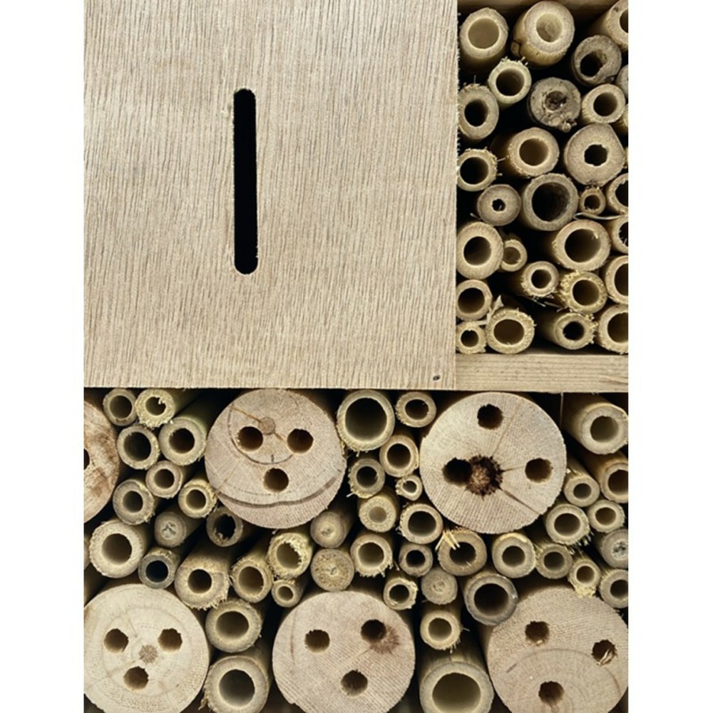 Hôtel à insectes