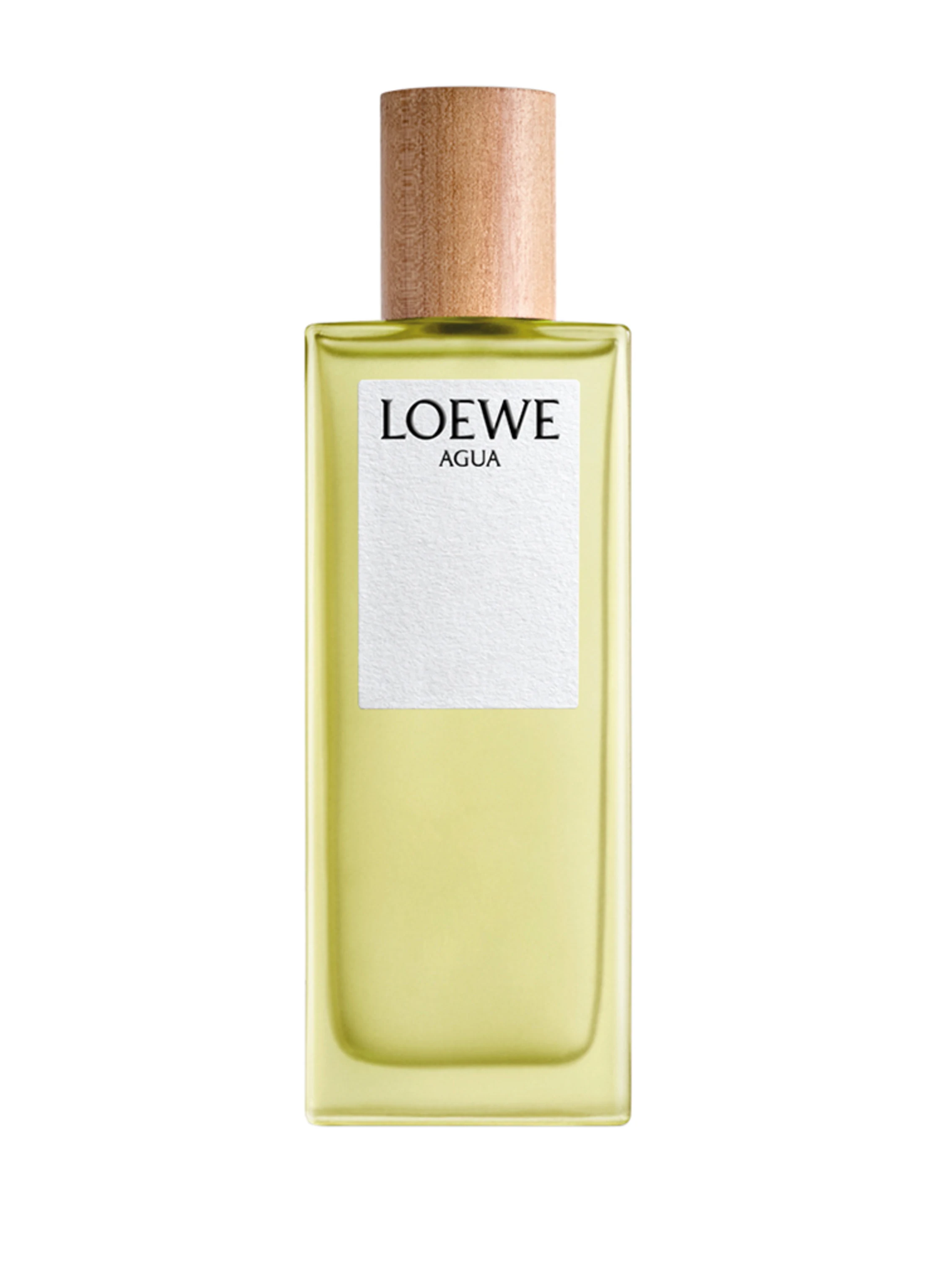 LOEWE AGUA