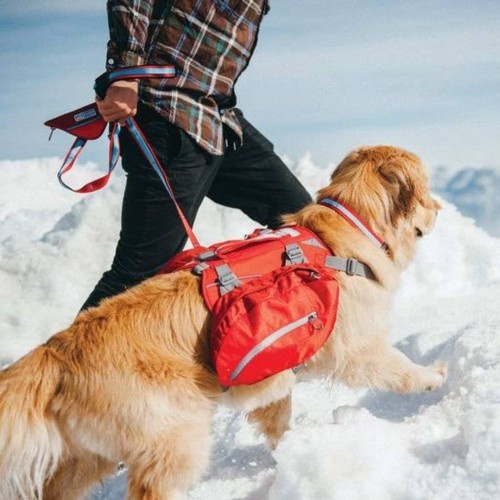Mochila com alforjes para cães, vermelha