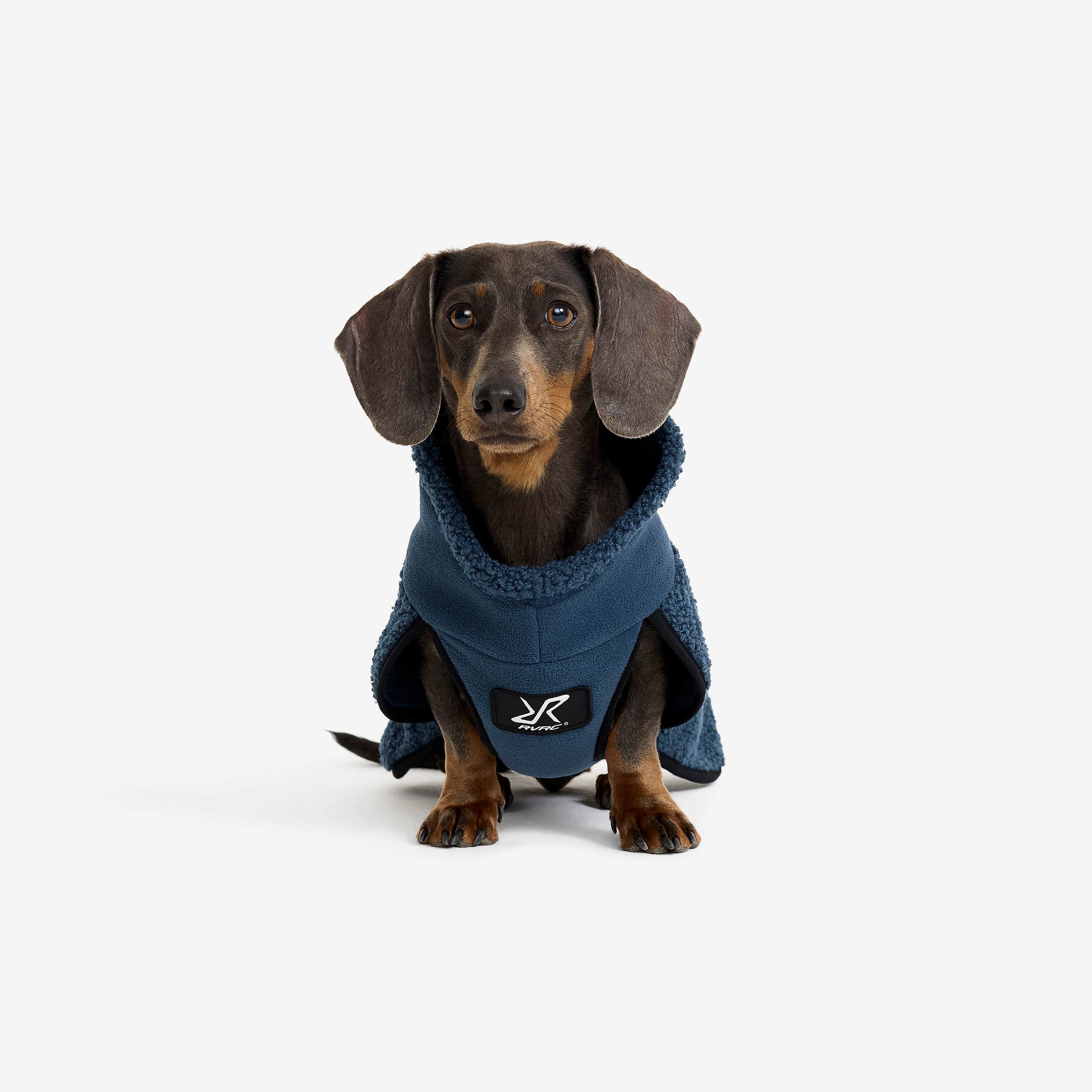 Bigfoot Dog Jacket Hund Moonlit Ocean