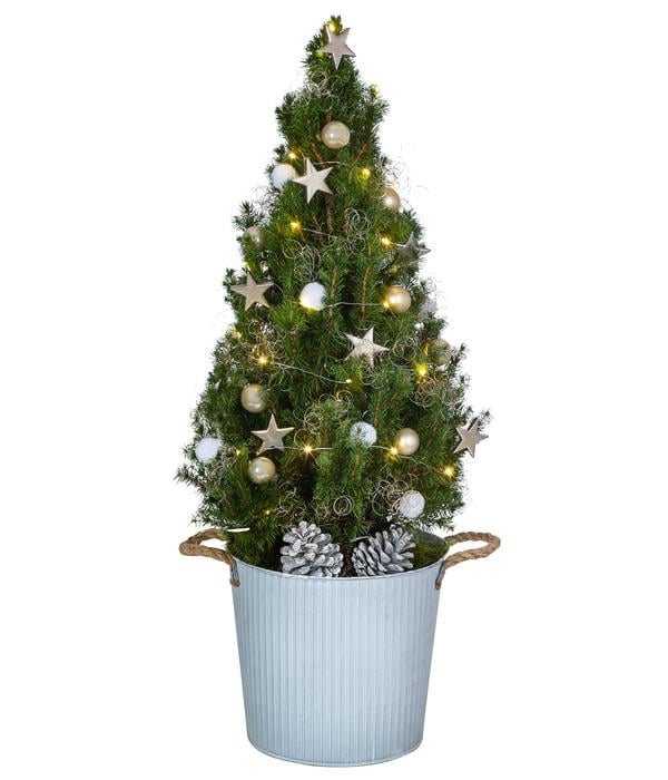 Geschmückter Weihnachtsbaum Linus,