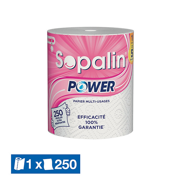 Sopalin Esuie-tout Power maxi bobine de 250 feuilles gaufrées blanches